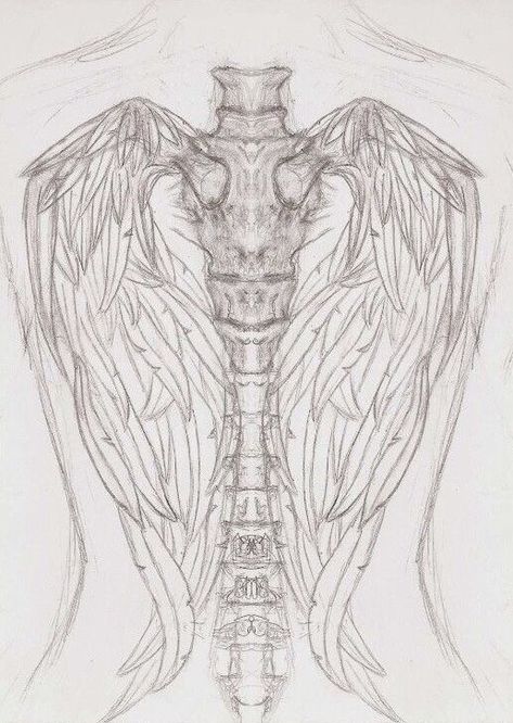 Skeleton Spine Tattoo, Wing Skeleton, Skeleton Spine, Angel Wings Tattoo On Back, Tattoos On Back, Wing Tattoos On Back, Female Tattoos, Funky Tattoos, Sharpie Tattoos