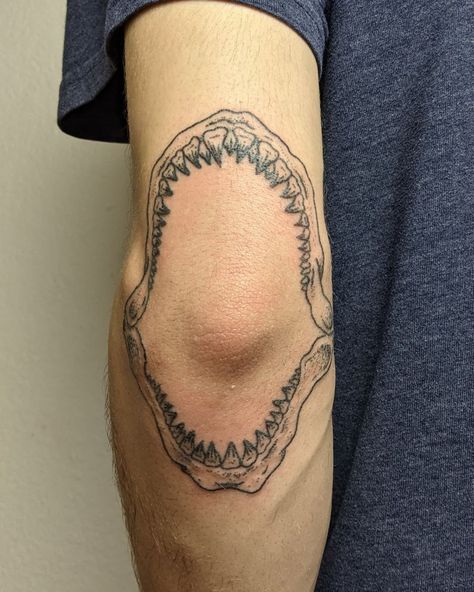 Jaw Elbow Tattoo, Jaws Tattoo, Shark Jaw Tattoo, Jaw Tattoo, Inner Elbow Tattoos, Self Tattoo, Tattoo Sea, Animal Tattoos For Women, Second Tattoo