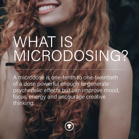 Microdose Mushrooms, Microdosing Mushrooms, Space Lab, Feeling High, Flow State, Skin Clinic, Improve Mood, Knee Pain, Medicinal Plants