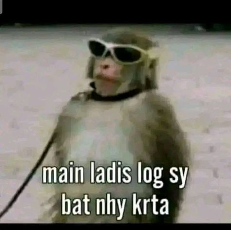 Funny Dp For Instagram, Monkey Meme, Funny Compliments, Funny Dp, Dry Sense Of Humor, Funny Dialogues, Funny Words To Say, Desi Humor, Funny Attitude Quotes