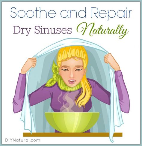 Dry Nose Dry Sinuses Dry Nose Remedy, Dry Sinuses, Sinus Remedies, Sinus Allergies, Stuffy Nose Remedy, Dry Nose, Sinus Problems, Cold And Cough Remedies, Allergy Remedies