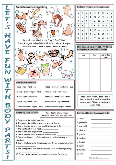 Human Body Vocabulary, Ingles Kids, Human Body Worksheets, Materi Bahasa Inggris, Vocabulary Exercises, English Exercises, Vocabulary Practice, Parts Of The Body, English Language Teaching