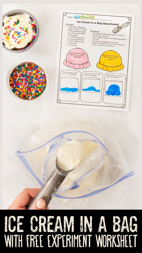 Science Experiment Worksheet, Ice Cream Science, Ice Cream In A Bag, Icecream In A Bag, Ice Cream Crafts, Summer Science, Ice Cream Day, Ice Cream Theme, Yummy Ice Cream