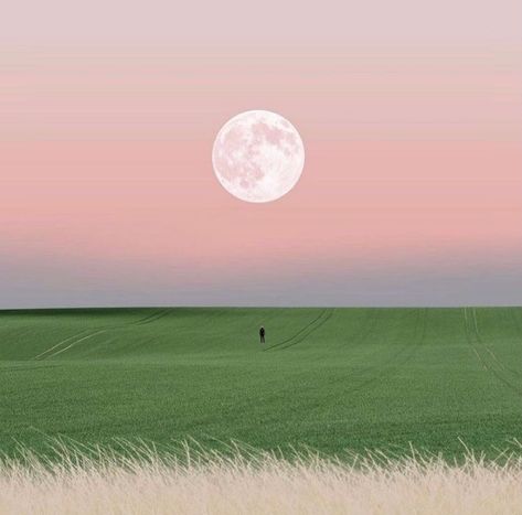 Full Moon in Libra ♎️ via @somewheremagazine Foto Art, Pink Sky, Pretty Places, Scenery Wallpaper, Featured Artist, Mother Earth, Full Moon, Aesthetic Art, Aesthetic Pictures