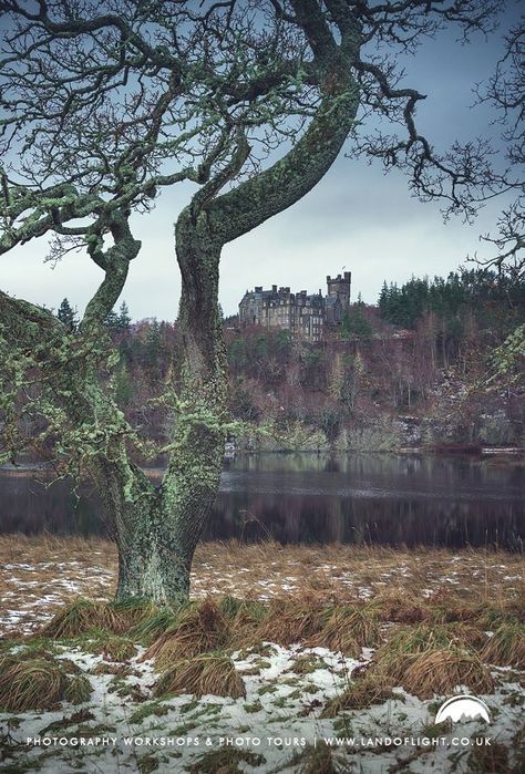 Carbisdale Castle, near Bonar Bridge, Sutherland, Scotland. Opulent Splendor, Watercolour Practice, Scotland Outlander, Uk Holiday, Castles Of The World, Travel Wishes, Uk Holidays, Scottish Castles, Sea Island