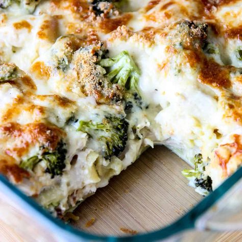 Chicken and Broccoli Lasagna Alfredo Chicken Broccoli Lasagna, Broccoli Lasagna Recipe, Broccoli Chicken Alfredo, Broccoli Lasagna, Skillet Chicken Recipes Easy, Turkey Broccoli, Easy Fall Dinner Recipes, Easy Fall Dinners, Winter Dinners