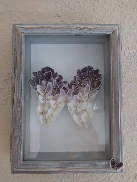 Butterfly shell shadowbox Seashell Butterfly Shell Art, Butterfly Seashell Art, Sea Shell Shadow Box Ideas, Coquina Shell Art, Butterfly Seashells, Butterfly Shell Art, Seashell Diy, Seashell Creations, Seashell Artwork