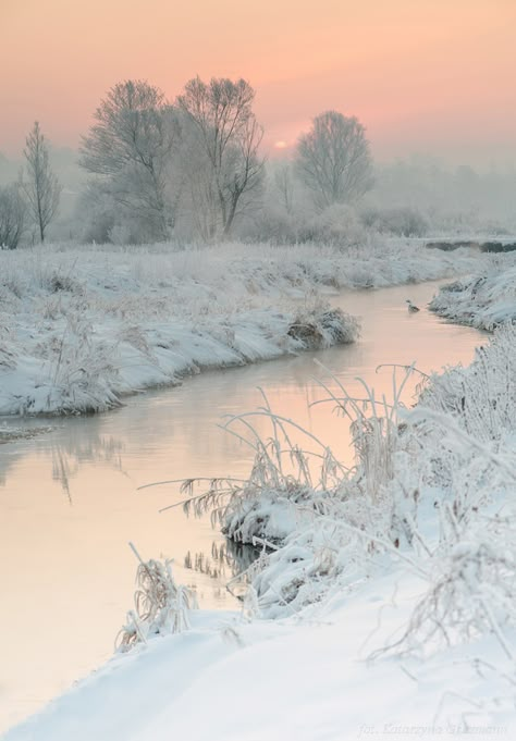 Fairycore Winter, Winter Fairycore, Winter Fairy, Winter Mornings, Winter Magic, Winter Scenery, Winter Beauty, Tableaux Paysage, Winter Pictures