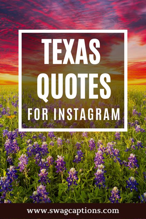 Houston Quotes Texas, Funny Texas Quotes, Texas Quotes Southern Sayings, Texas Sayings Quotes, Texas Captions Instagram, Texas Instagram Captions, Texan Quotes, Houston Quotes, Airport Welcome Signs