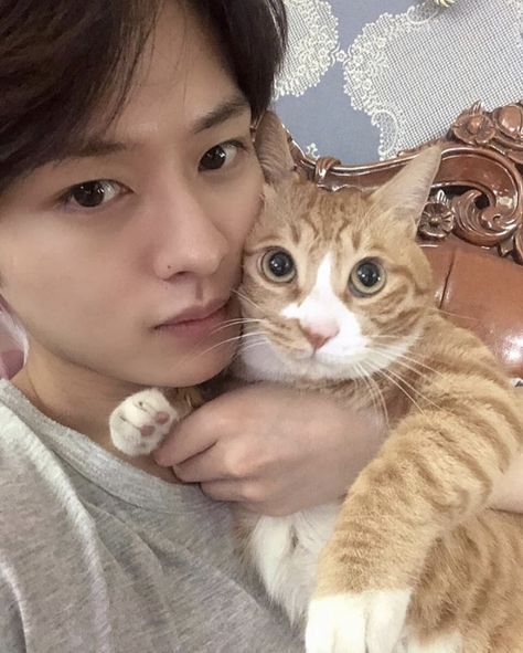 #leeknow #minho #kpop  #2018 #skz #straykids #lino #instagram #selca  #leeknowselca #soonie Minho's Cats, Lee Minho Stray Kids, Stray Kids Minho, 17 Kpop, Lee Know Stray Kids, Cat Boys, Cat Icon, Celeb Crushes, Kids Icon