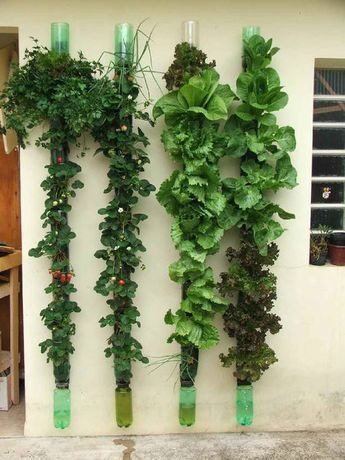 Vertical Vegetable Garden, Growing Lettuce, Vertical Herb Garden, Plants Growing, Tower Garden, Bottle Garden, Vertical Gardens, Indoor Gardening, Veggie Garden