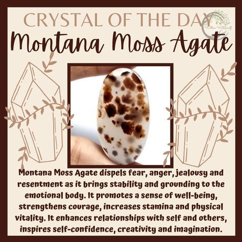 Montana Agate Meaning, Moss Agate Meaning, Witch Stones, Crystals Guide, Aesthetics Accessories, Crystal Identification, Montana Moss Agate, Crystal Magick, Feng Shui Guide