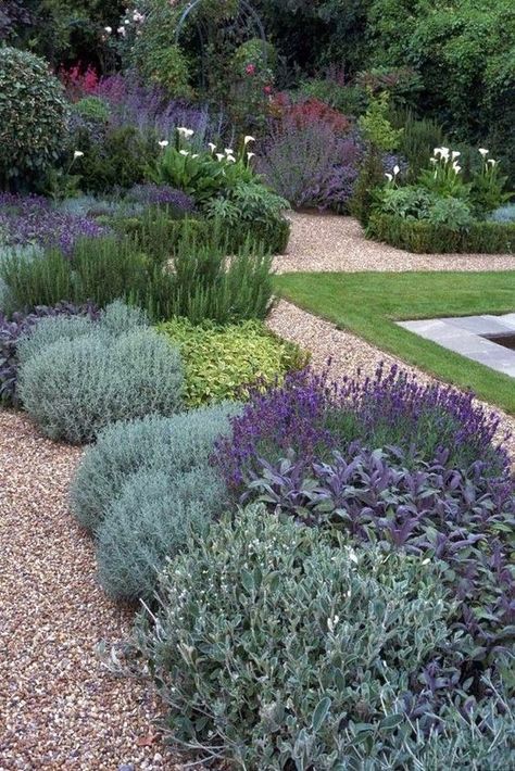 French Cottage Garden, Funny Vine, Cottage Garden Design, Gravel Garden, Low Maintenance Landscaping, Garden Design Plans, Cottage Gardens, Rock Garden Landscaping, Have Inspiration