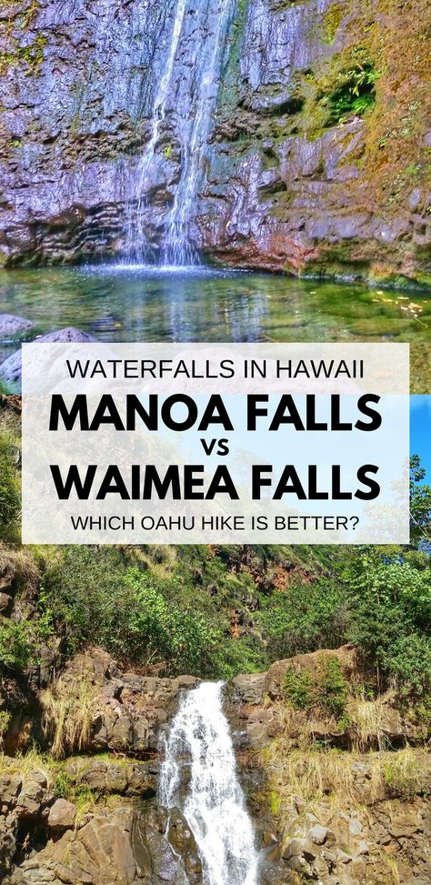 Manoa Falls or Waimea Falls, waterfalls in Oahu Hawaii. For US hiking trails in Hawaii, there are waterfall hikes on Oahu to choose during Hawaii vacation on the island. Manoa Falls is near Honolulu and Waikiki, and Waimea Falls is on North Shore. People go swimming at both Oahu hikes. Outdoor travel destinations and activities for the bucket list for budget adventures! Put hiking gear for what to wear on Hawaii packing list. Oahu Waterfalls, Manoa Falls, Waimea Falls, Hawaii Packing List, Oahu Hikes, Hawaii Packing, Oahu Vacation, Go Swimming, Vacation Activities