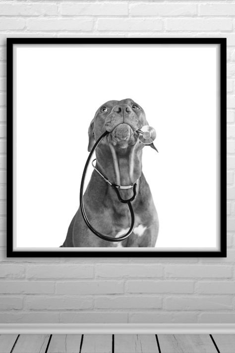 Dog Doctor Trio - digital art printables - a perfect set of prints for any veterinarian office, pet clinic, animal hospital, vet clinic or any place where pet healthcare is the priority.  Available for instant download today! Doctor Printable, Vet Office Decor, Veterinarian Clinic, Veterinarian Office, Dog Doctor, Vet Office, Vet Medicine, Vet Clinic, Pet Clinic