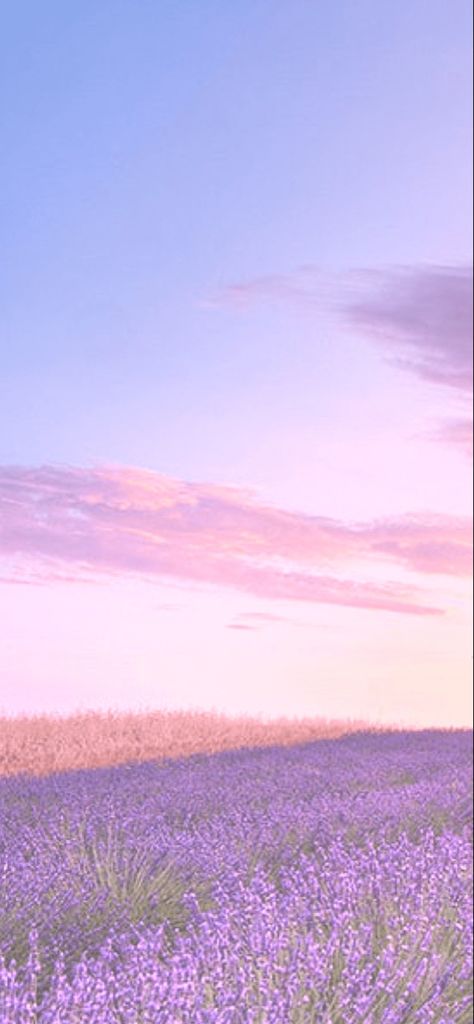 Field Wallpaper, Don Bosco, Dreamy Artwork, Lavender Aesthetic, Spring Theme, Grey Skies, Spring Aesthetic, Phone Wallpaper Images, Lavender Fields