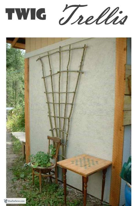 Twig Trellis, Modern Gardening, Grape Trellis, Fox Farm, Vine Trellis, Flower Trellis, Country Garden Decor, Growing Vines, Upcycle Garden