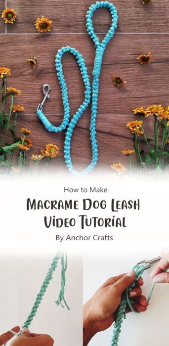 Stylish & Strong: DIY Macrame Dog Leash Free Tutorial Idea for Pet Lovers - Carolinamontoni.com Macrame Hanging Cat Bed, Macrame Dog Leash, Dog Leash Diy, Hanging Cat Bed, Anchor Crafts, Diy Macrame, Macrame Hanging, Macrame Ideas, Fall Diy