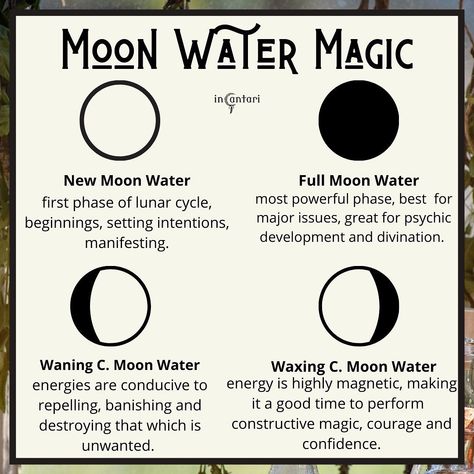 Incantari’s Instagram post: “Evening dolls, I’m sure most of you have heard about moon water or seen it in passing. Many spiritual traditions throughout history have…” Lunar Cycle Tattoo, Cycle Tattoo, About Moon, Moon Water, Water Energy, Lunar Cycle, Moon Magic, Everything Is Awesome, Mind Body Soul