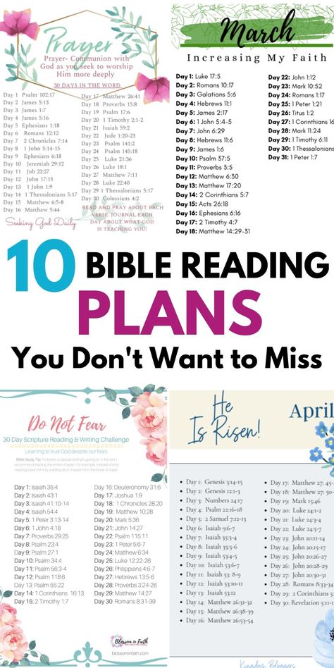 Bible Reading Plan for Women - These are the best Bible reading plans that you can print and take with you! They are completely free downloads from some amazing bloggers. Grab your free Bible reading plan printable. #freebiblereadingprintables #freebiblereadingplan #biblereadingplanoneyear #biblereadingplanforwomen #biblereadingplanforbeginners Scripture Plans For Women, Yearly Bible Reading Plan Free Printable, One Year Bible Reading Plan For Women, Bible Reading Plan For Beginners One Year, Free Bible Printables For Women, Monthly Bible Reading Plan For Women, Bible In A Year Plan Free Printable, Reading The Bible In A Year Plan, Bible Plans For Women