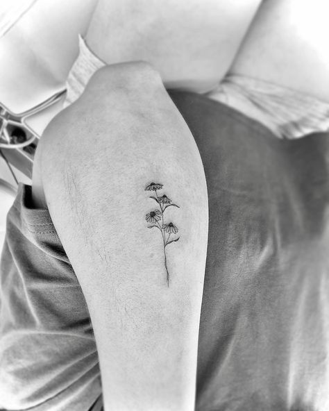 First tattoo ♡ ⠀ ⠀ ⠀ ⠀ ⠀ ⠀ #singleneedletattoo #finelinetattoo #columbusohio #ohiotattooers #ohiotattooartist #columbustattooers #ink #inkbylish #singleneedle #fineline #flowertattoo #firsttattoo #coneflower #floraltattoo #grovecity #grovecityohio Coneflower Tattoo, Ohio Tattoo, Grove City Ohio, Single Needle Tattoo, Tat Ideas, Fine Line Tattoos, First Tattoo, Fine Line, Small Tattoos