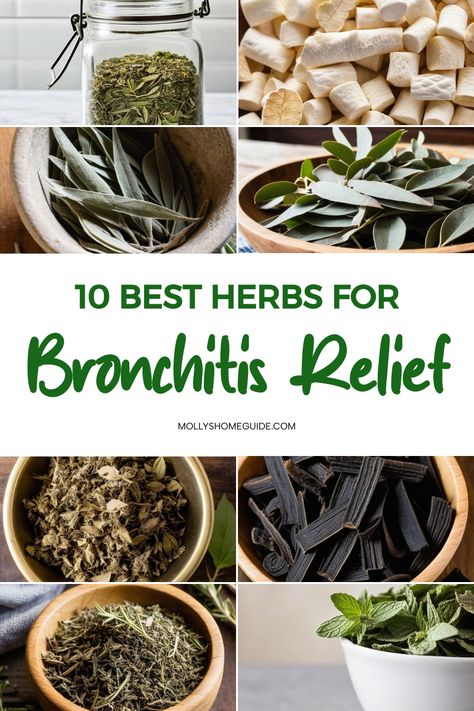 Foods To Help Bronchitis, Herbal Remedies For Bronchitis, Best Herbs For Cough, Herbs For Coughing, Home Remedy For Bronchitis Cough, Remedies For Bronchitis Cough, Natural Remedy For Bronchitis, Bronchitis Cough Relief, Bronchitis Remedies How To Get Rid