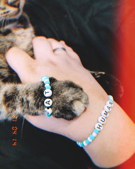 Cat Collars Diy, Collars Diy, Fancy Jewellery Designs, Dog Jewelry, Cute Cats And Dogs, Girly Jewelry, Bead Jewellery, Beaded Rings, Beaded Jewelry Diy