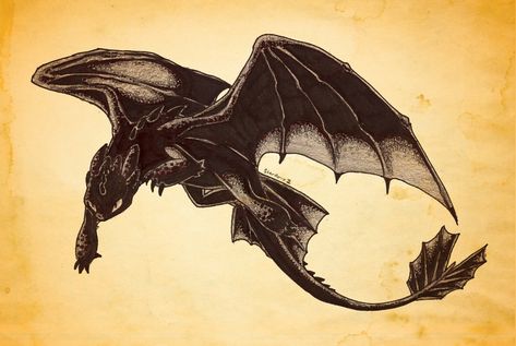 Toothless Tattoo, Toothless Drawing, Night Fury Dragon, Httyd Art, Dreamworks Dragons, Httyd Dragons, Bio Art, Dragon Trainer, Dragon Rider