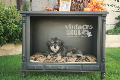 Dog Space Ideas Dog Space Ideas, Cat Mansion, Dog Space, Bed Tv, Dog House Bed, Dog Spaces, Designer Dog Beds, Pet Spaces, Diy Dog Bed