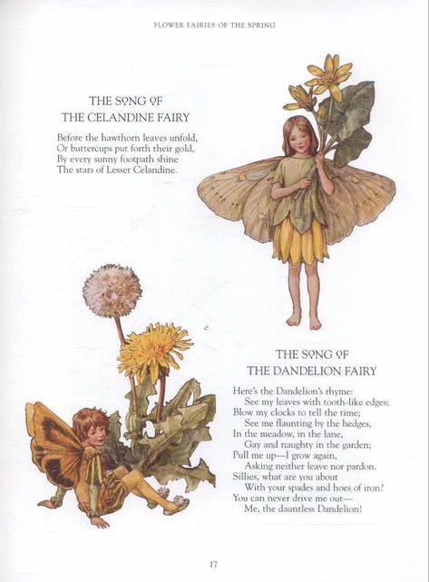 Dandelion Fairy, The Flower Fairies, Flower Fairies Books, Lion Flower, Fairy House Diy, Flower Guide, Cicely Mary Barker, Dandelion Flower, Fairy Book