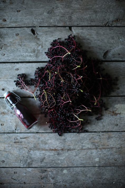 our food stories: homemade elderberry-syrup Homemade Elderberry Syrup, Homemade Elderberry, Elderberry Syrup, Food Stories, Black Food, Food Concept, Garden Recipes, Food Photography Styling, Wild Food