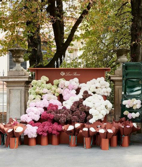 Travel Photography Ideas, Illustration Travel, Photos Travel, Flower Cart, Italian Decor, Spring Summer 2023, Travel Illustration, Pop Up Stores, Photography Travel