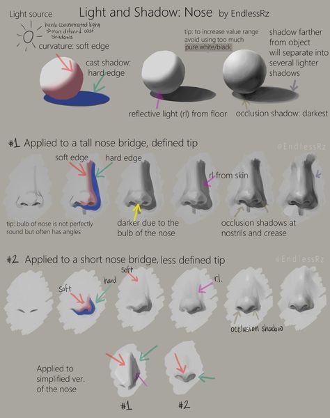 Nose Tutorial, Coloring Reference, Drawing Advice, Draw Anatomy, Paint Tutorials, Doodle Bug, Anatomy Sculpture, Painting Walls, Sketchbook Pro