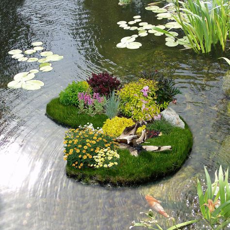 flower garden pictures | Floating Flower Gardens - The Green Head Flower Garden Pictures, Floating Flower, Floating Garden, Pond Water Features, Floating Plants, Carpe Koi, Pond Plants, Garden Shrubs, Floating Flowers