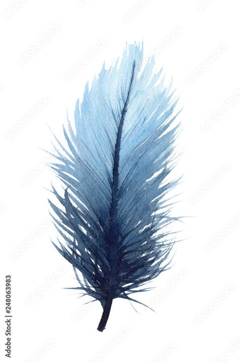 Watercolor illustration of an isolated blue feather on a white background. Watercolour blue feather. Stock Illustration | Adobe Stock Watercolor Blue Jay, Background Watercolour, Water Paints, Blue Jay Feather, Feather Watercolor, Jay Feather, Template Images, Watercolor Landscapes, Watercolor Feather