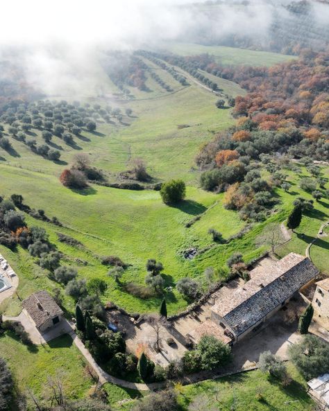 Biodynamic farming Biodynamic Farming, Gut Healthy Foods, Gut Health Recipes, Stone Farmhouse, Meditation Garden, Visit Italy, Old Farmhouse, Sustainable Practices, Old Farm