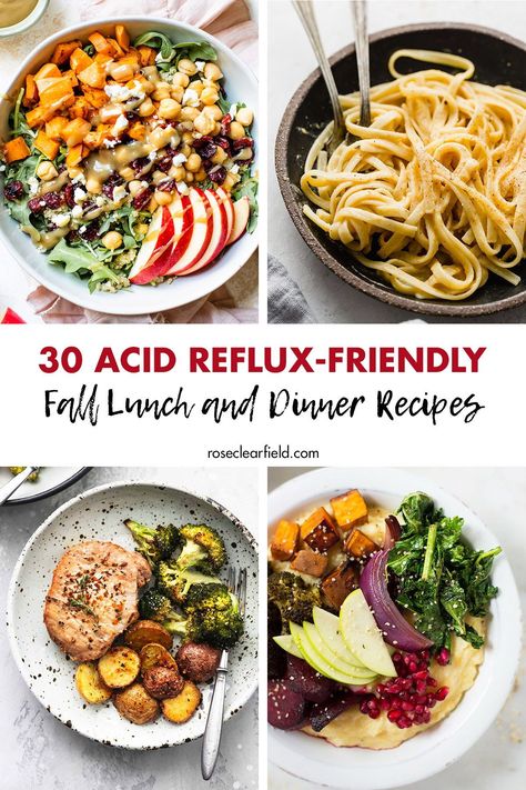 Reflux Diet Recipes, Gerd Diet Recipes, Acid Reflex, Acid Reflux Friendly Recipes, Gerd Friendly Recipes, Dinner Ideas For Kids, Acid Reflux Diet Meals, Gerd Friendly, Gerd Recipes