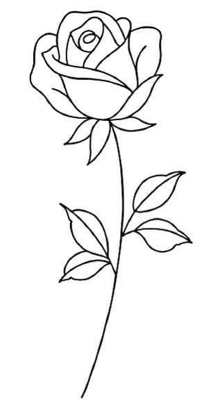 Outline Images Of Flowers, Easy Rose Doodle, Outline Of Flowers Simple, Flower Tracing Pattern, Pola Organis, Outline Drawings Easy, Rose Simple Drawing, Pretty Flower Drawings, Flowers Outline Drawing