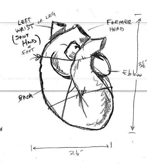 Writer/Producer #JeffVlaming's original concept sketch of the origami heart.  #HannibalPremiere @NBCHannibal Rough Sketches, Hannibal Nbc, Hannibal Tv Series, Origami Heart, Nbc Hannibal, Rare Gifts, Hugh Dancy, Hannibal Lecter, Mads Mikkelsen