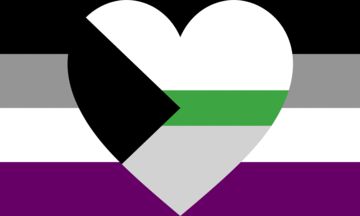 Aro Spectrum, Ace Flag, Ace Pride, Asexual Pride, Lgbtq Flags, Lgbt Flag, Gay Memes, Lgbt Art, Flag Sizes