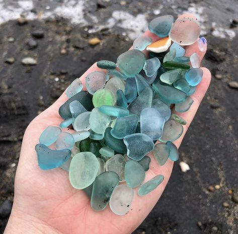 Matilda Core, Underwater Rocks, Bailey Core, Portugal Fits, Collection Aesthetic, Cute Easy Doodles, Seaside Decor, She Sells Seashells, Sea Glass Beach