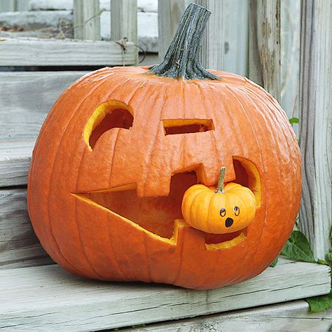 Gobbling Goblin  This pumpkin's taking a bite out of our favorite holiday!   To create, choose a large pumpkin that's three times the size of your smaller pumpkin. Trace the area where the smaller pumpkin will sit on the larger pumpkin to ensure you carve a large enough mouth. Make the face and carve each section. Draw a face onto the small pumpkin using permanent marker. Insert the small pumpkin into the large pumpkin's mouth. Printable Pumpkin Stencils, Pumpkin Carving Stencils Free, Pumpkin Stencils Free, Cute Pumpkin Carving, Pumkin Carving, Halloween Pumpkin Carving Stencils, Creative Pumpkin Carving, Easy Pumpkin Carving, Pumpkin Carving Designs