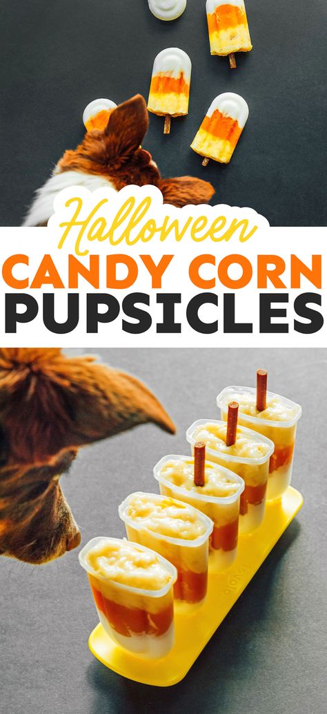 Candy Corn Dog Treats, Dog Popsicles, Easy Popsicle Recipes, Candy Corn Dog, Halloween Dog Treats, Recipe Using Apples, Healthy Popsicle Recipes, Diy Halloween Treats, Easy Dog Treat Recipes