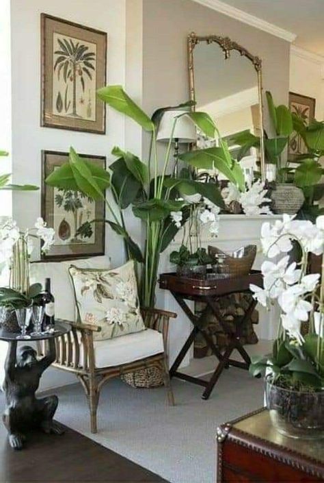 Tropical Island Aesthetic, Colonial Porch, West Indies Decor, Tropical British Colonial, British West Indies Style, Colonial Style Interior, Colonial Interiors, Colonial Interior Design, Statement Chair