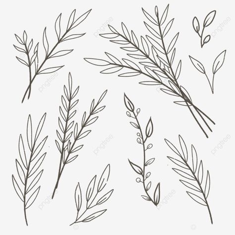 stalks,leaves,flower,stalk,plant,green,beautiful,leaf,flowers,floral,nature,decoration,pink,summer,flora,design,green leaves,isolated,plants,yellow,rose,branch,green leaf,tree,white,drawing,frame,stem Flower Stem Drawing, Flora Background, Drawing Leaves, Rose Branch, Branch Drawing, Leaves Drawing, Leaves Sketch, Summer Drawings, Three Roses