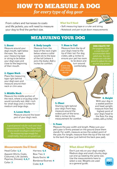 Guide for Finding Dog Measurements for All Your Dog Supplies Dog Care Checklist, Puppy Obedience Training, Positive Dog Training, Easiest Dogs To Train, Basic Dog Training, Dog Behavior Problems, House Training Dogs, Dog Training Advice, Dog Brain