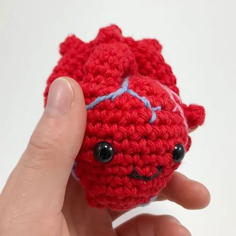 Anatomical Human Heart Pattern - Louie's Loops Club Crochet, Heart Amigurumi, Crocheted Heart, Heart Crochet, Anatomical Heart, Human Heart, Yarn Sizes, Diy Craft Kits, Crochet Kit