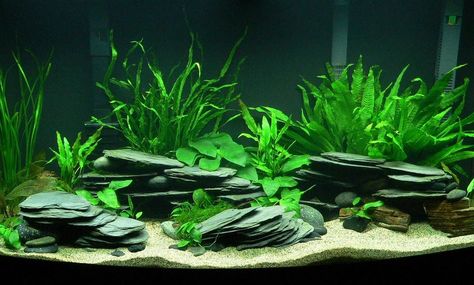 DIY Stacked Slate Caves - petdiys.com Rock Aquarium, Black River Rock, Cichlid Aquarium, Fish Tank Themes, Goldfish Tank, Amazing Aquariums, Fish Tank Terrarium, Diy Fish Tank, Cool Fish Tanks