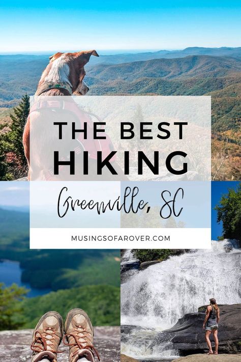 Hikes Near Greenville Sc, Paris Mountain State Park South Carolina, South Carolina Hikes, South Carolina Mountains, Hiking South Carolina, South Carolina Hiking, Hiking Journal, Grad Trip, Gorges State Park