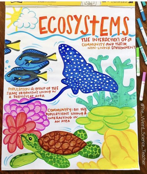 Ecosystem Anchor Chart, Food Chain Anchor Chart, Food Chains Anchor Chart, Ecosystem Art, Teaching Ecosystems, Kindergarten Science Projects, Classroom Management Songs, 2024 Classroom, Ecosystems Projects